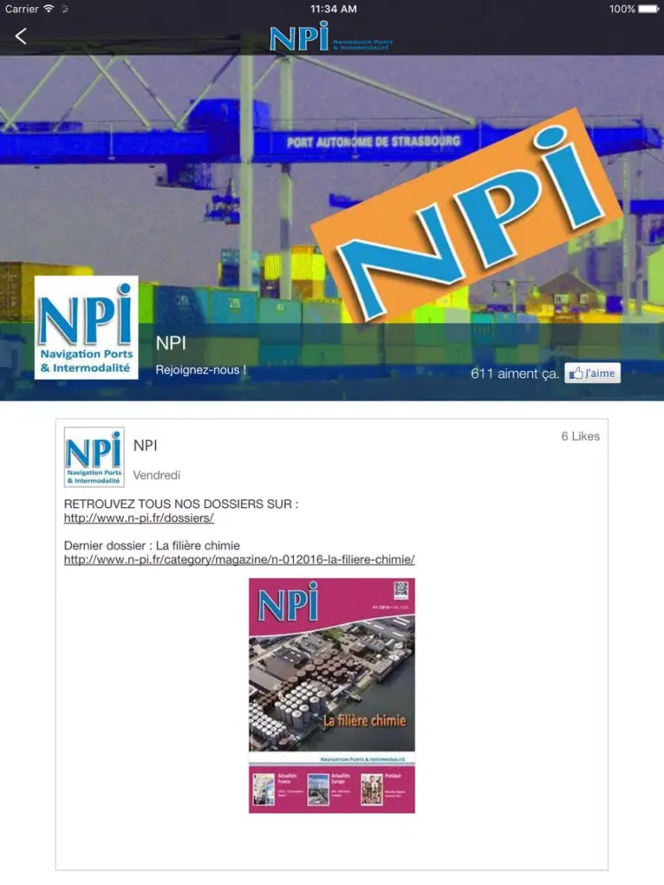 Скриншоты NPI magazine iPad 